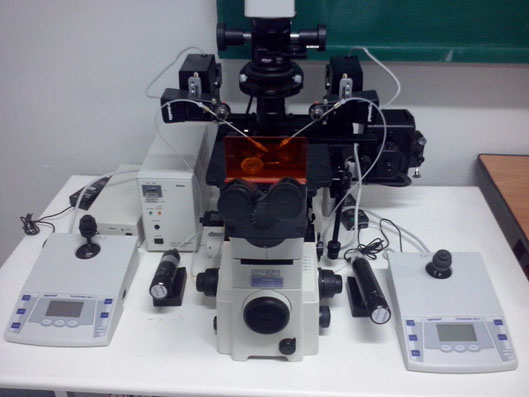 میکرواینجکشن