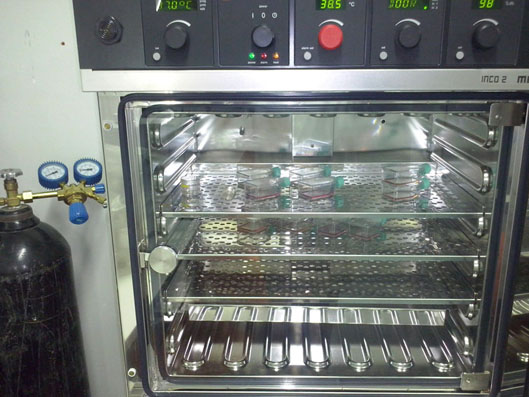  انکوباتور co2